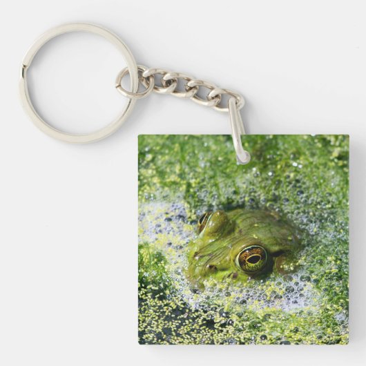 Kikkerogen Sleutelhanger (voorkant)