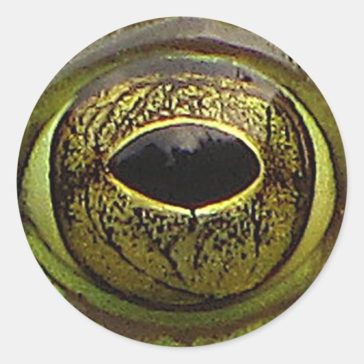 Kikkeroog Ronde Sticker (Voorkant)