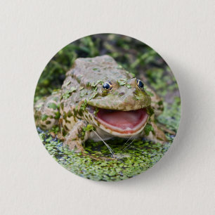 Kikkerprins Badge Ronde Button 5,7 Cm