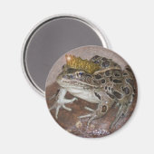 Kikkerprins Magneet (Voorkant / Achterkant)