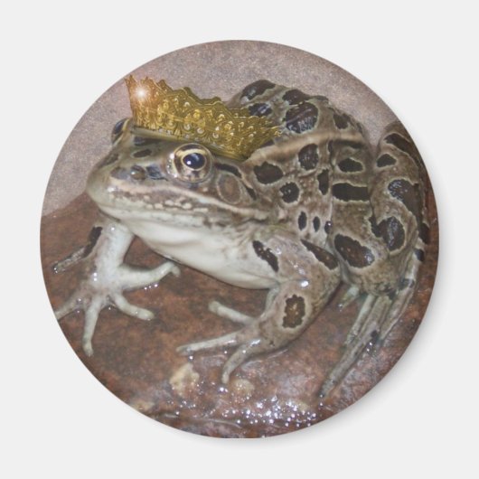 Kikkerprins Magneet (Voorkant)