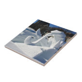 Kikkerptuur, Quebec, Canada Tegeltje (Zijkant)