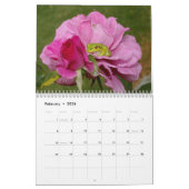 Kikkers 2009 kalender (Feb 2026)