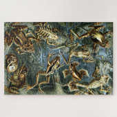 kikkers door Ernst Haeckel Legpuzzel (Horizontaal)