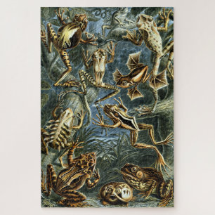  kikkers door Ernst Haeckel Legpuzzel