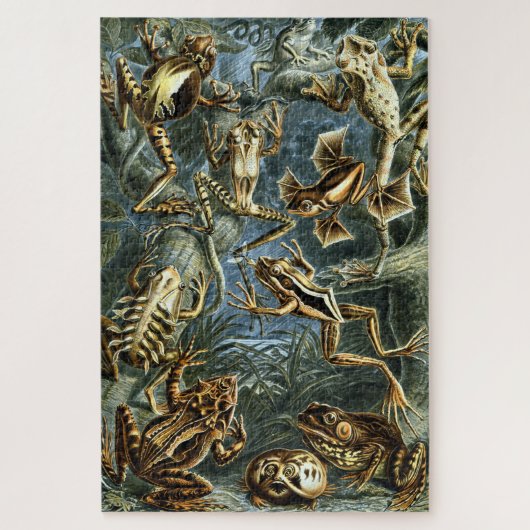  kikkers door Ernst Haeckel Legpuzzel (Verticaal)