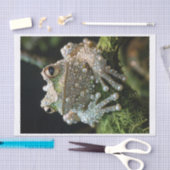 Kikkers en diamanten9 tissuepapier (Craft)