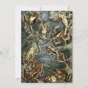 Kikkers en padden Batrachia van Ernst Haeckel Kaart