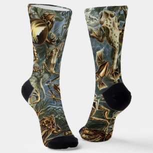 Kikkers en padden Batrachia van Ernst Haeckel Sokken