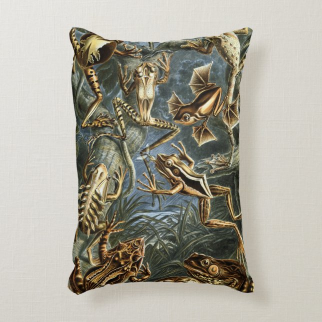  Kikkers en Toads Batrachia van Ernst Haeckel Accent Kussen (Voorkant(Verticaal))