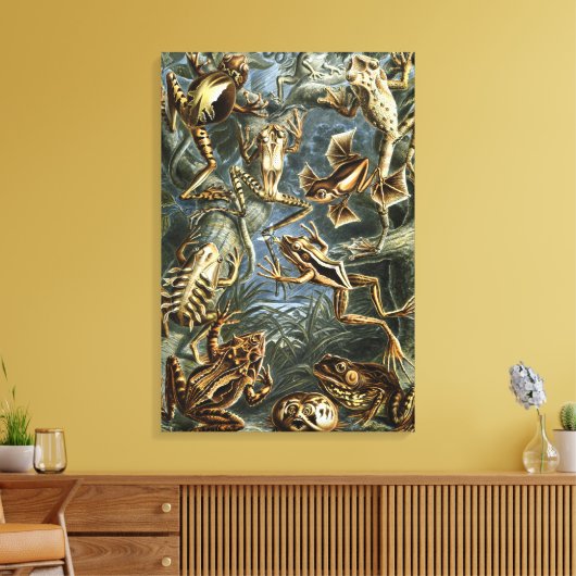  Kikkers en Toads Batrachia van Ernst Haeckel Canvas Afdruk (Insitu (Woonkamer))