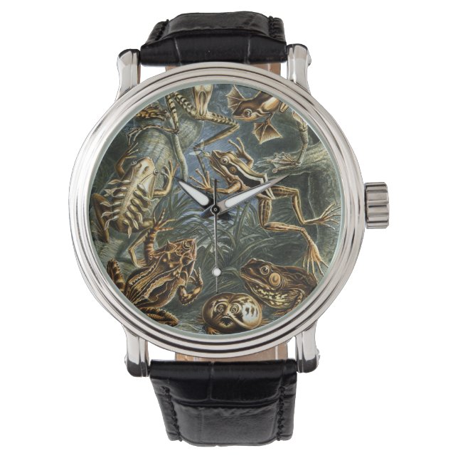  Kikkers en Toads Batrachia van Ernst Haeckel Horloge (Voorkant)