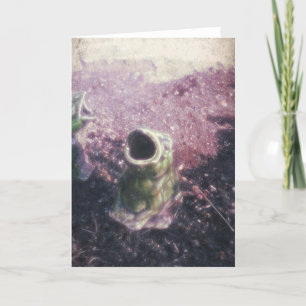 Kikkers in de tuin kaart