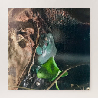 Kikkers Mystery Life nr. 2 Legpuzzel