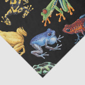 Kikkers op zwart tissuepapier (Detail)