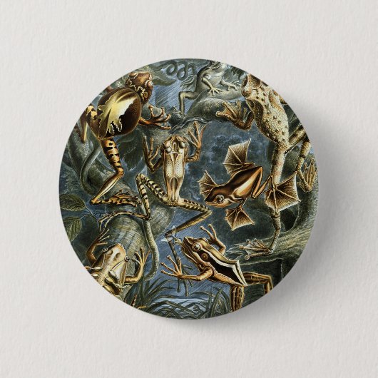 Kikkers Ronde Button 5,7 Cm (Voorkant)