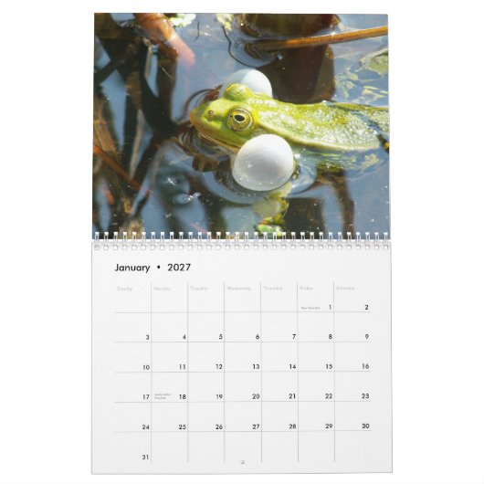 Kikkers van de World Calendar Kalender (Jan 2027)