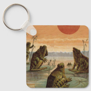 Kikkers Waterlelies Maan Illustratie Sleutelhanger