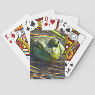 Kikkertjes voor het koelen pokerkaarten