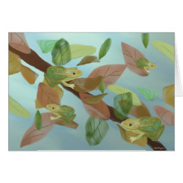 Kikkertjes voor kikkers