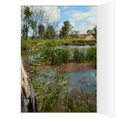Kikkervis Paradijs Riverland Australië, Verjaardag (Binnen (Links))