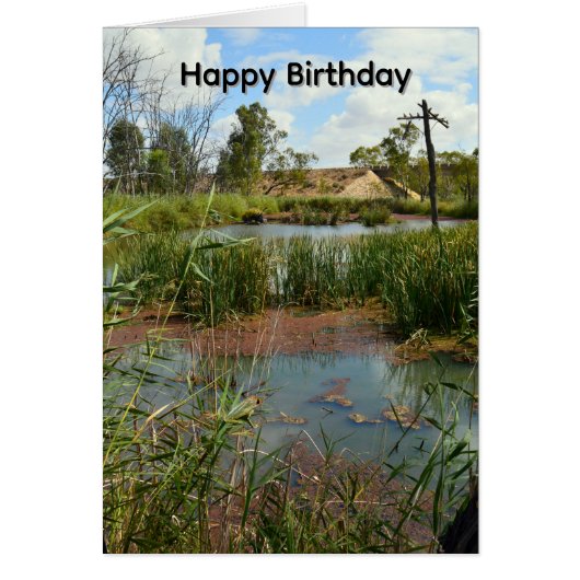 Kikkervis Paradijs Riverland Australië, Verjaardag (Voorkant)
