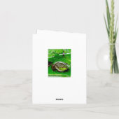 Kikkervisbriefkaart glimlachen kaart (Achterkant)