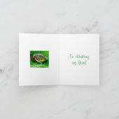 Kikkervisbriefkaart glimlachen kaart (Binnen)