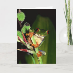 Kikkervisitekaartjes Kaart