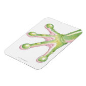 Kikkervisjes Magneet (Linkerzijde)