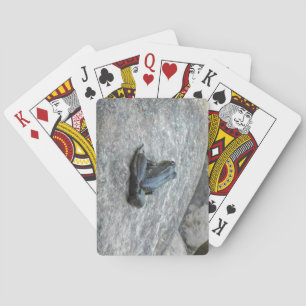 Kikkervisjes Pokerkaarten