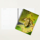 Kikkervisjes, weekblad/maandblad planner (Display)