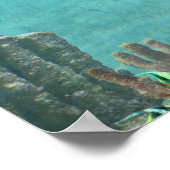 Kikkervogel nooit opgeven poster (Hoek)