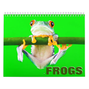 Kikkerwandkalender Kalender