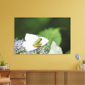 Kikkikker op een hydrangea, Hyogo Canvas Afdruk (Insitu (Woonkamer))