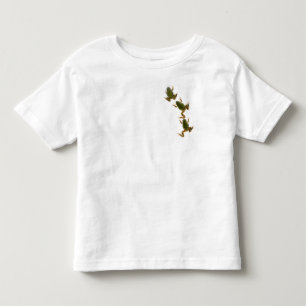 Kikkikker Trio Kinder Shirts