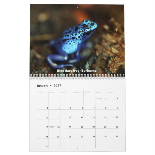 Kikkikkerkalender Kalender (Jan 2027)