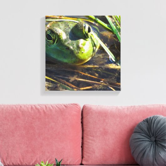 Kikkikkervisdoek Canvas Afdruk (Insitu (Woonkamer))