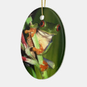 Kikkikkervissiermeel Keramisch Ornament (Links)