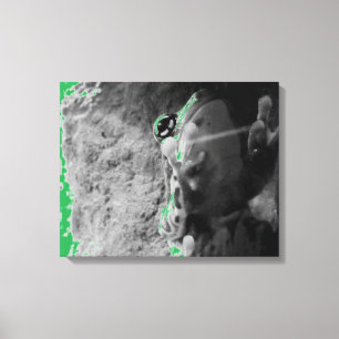 Kikklimmen, glas B+W Canvas Afdruk