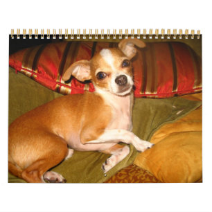 kiko kalender