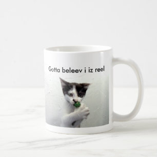 Kiko lolcat mok "Gotta belev i iz reel"