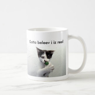 Kiko lolcat mok "Gotta belev i iz reel"