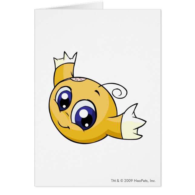 Kiko Yellow (Voorkant)