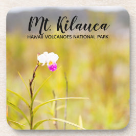 Kilauea Volcanoes Nationaal Park Hawaii Drankjes Onderzetter