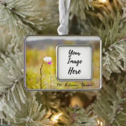 Kilauea Volcanoes Nationaal Park Hawaii Verzilverd Kader Ornament