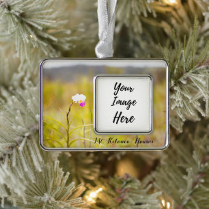 Kilauea Volcanoes Nationaal Park Hawaii Verzilverd Kader Ornament