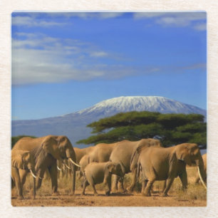 Kilimanjaro en olifanten glazen onderzetter