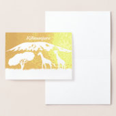 Kilimanjaro Folie Kaarten (Display)