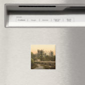 Kilkenny Castle, County Kilkenny Magneet (Insitu (Vaatwasser))